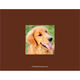 Chocolate Paw Print Pet Photo Sympathy Cards Image 2 of 3